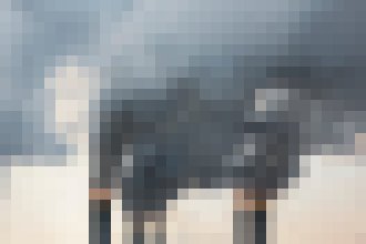 Photo Čínski vedci vraj dokážu premeniť výfukové plyny na krmivo pre zvieratá