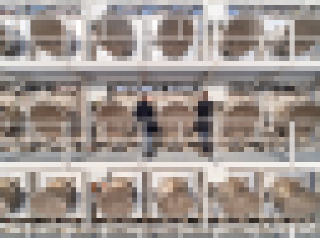 Photo Sú na odstránenie CO2 z atmosféry lepšie odsávacie stroje alebo stromy?