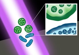 Photo Laserové impulzy sú proti superbaktériam účinnejšie ako antibiotiká