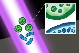 Photo Laserové impulzy sú proti superbaktériam účinnejšie ako antibiotiká