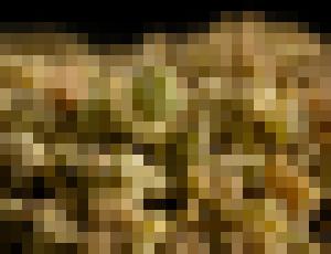 Photo Konope z biomasy je čistejšie a ešte aj ekologickejšie