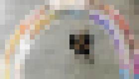 Photo Mladšia generácia prejavuje záujem o investície do ESG a očakáva personalizované finančné produkty, ukazuje report Accenture