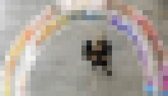 Photo Mladšia generácia prejavuje záujem o investície do ESG a očakáva personalizované finančné produkty, ukazuje report Accenture