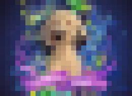 Photo Už aj psi budú môcť posielať SMSky