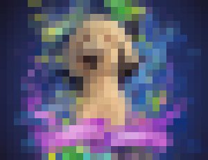 Photo Už aj psi budú môcť posielať SMSky