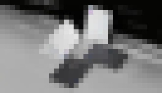 Photo ASUS a ROG získali rekordný počet ocenení CES 2022 Innovation Awards