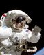 Photo Astronauti si budú vyrábať leukoplasty z vlastnej kože