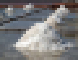 Photo Lacnejšie a účinnejšie riešenie na odsoľovanie morskej vody 