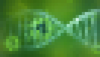 Photo Revolučná liečba na rastlinnej báze dokáže zastaviť COVID-19 a vyliečiť aj dlhodobé príznaky