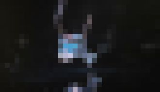 Photo Biohybridná ryba poháňaná ľudskými srdcovými bunkami