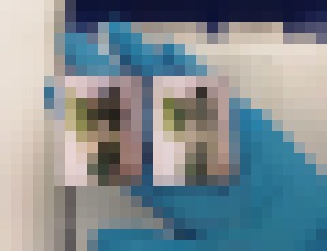 Photo Priehľadné drevo: Materiál budúcnosti s unikátnymi vlastnosťami