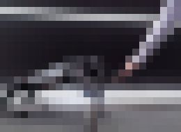 Photo Xiaomi predstavilo novú verziu robotického psa Cyberdog. Nebude stáť ani tak veľa 