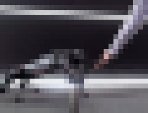 Photo Xiaomi predstavilo novú verziu robotického psa Cyberdog. Nebude stáť ani tak veľa 