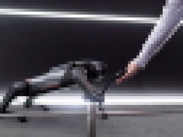 Photo Xiaomi predstavilo novú verziu robotického psa Cyberdog. Nebude stáť ani tak veľa 