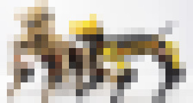 Photo Stavebnica, s ktorou si postavíte vlastného robotického minipsa