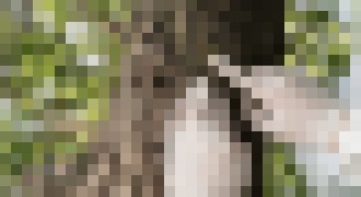 Photo Elektrolyt batérií novej generácie vyrobený z dreva ponúka rekordnú vodivosť