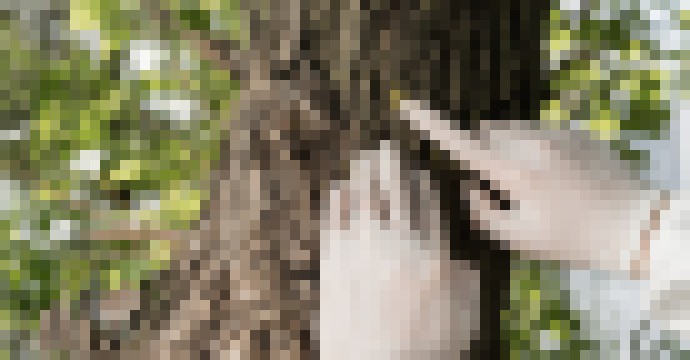 Photo Elektrolyt batérií novej generácie vyrobený z dreva ponúka rekordnú vodivosť