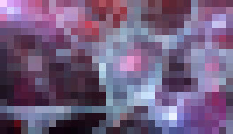 Photo Samoliečivé červy ponúkajú nádej pri oprave poškodených nervov