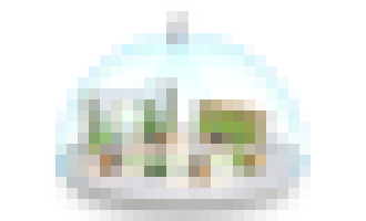 Photo Superrýchle dátové siete pre intralogistické scenáre budúcnosti