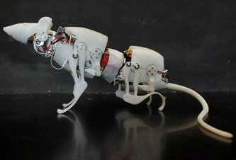 Photo Robotický potkan pomôže pri záchranných prácach a monitorovaní potrubí