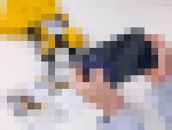 Photo Robopes Spot má menšieho brata. Bittle dokáže všeličo a nestojí až tak veľa