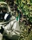 Photo Umelá inteligencia za šesť hodín navrhla 40 000 nových chemických zbraní