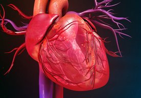 Photo Liečba pomocou mRNA môže uzdraviť srdce aj po infarkte