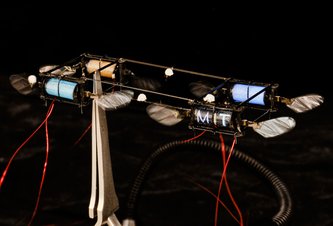 Photo Robotické svetlušky používajú umelé svaly, vďaka čomu dokážu mávať krídlami