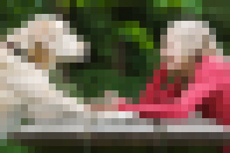 Photo Ľudia by čoskoro mohli hovoriť so zvieratami ako Dr. Doolittle 