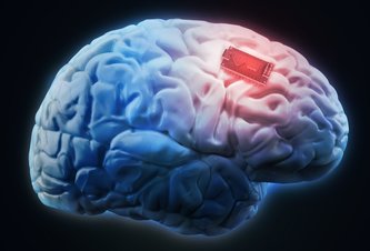 Photo Počítačové čipy poháňané ľudskými mozgovými bunkami už existujú. Je to etické?