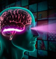 Photo Umelá inteligencia prepojená s mozgom umožňuje ľuďom „vidieť“ za roh