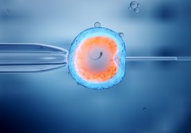 Photo Syntetické embryá nepotrebujú spermie, vajíčka ani maternicu