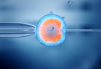 Photo Syntetické embryá nepotrebujú spermie, vajíčka ani maternicu