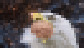 Photo Syntetické mozgy umožnia vznik úplne nových bytosti