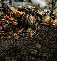 Photo Inovatívny kuchynský kôš premení všetok potravinový odpad na kompost