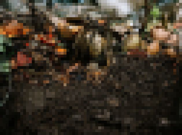 Photo Inovatívny kuchynský kôš premení všetok potravinový odpad na kompost