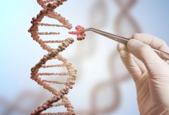 Photo Zásadný pokrok smerom ku genetickým úpravám ľudí  