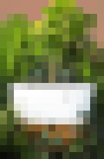 Photo Robot vám pomôže pestovať marihuanu hoci aj v obývačke