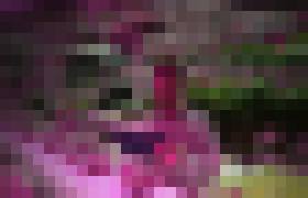 Photo Slovenská ekonomika nevyhnutne potrebuje inovácie. Slovenská sporiteľňa prináša prvý corporate venture capital program