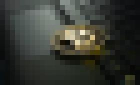 Photo Investujte len s overenými obchodníkmi. Slovenská sporiteľňa upozorňuje na množiace sa prípady kryto či investičných podvodov