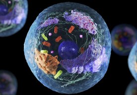 Photo Vedci vytvorili „živé“ umelé bunky 