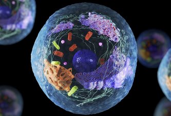 Photo Vedci vytvorili „živé“ umelé bunky 