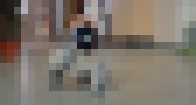 Photo Robotický domáci miláčik, ktorého nemôžete nemilovať