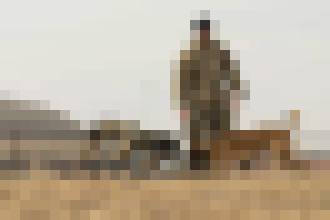 Photo Dokážu robotické spoločnosti zabrániť vyzbrojovaniu robotov?