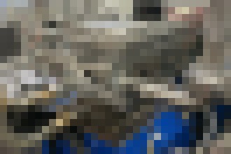 Photo Našli spôsob ako dieselové motory „pobežia“ aj na vodík