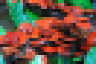 Photo Elektronika na báze húb sa pri likvidácii biologicky rozloží