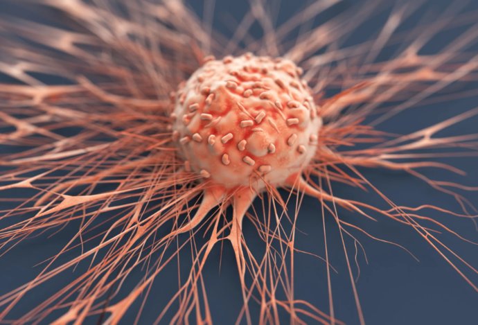 Photo Inovatívna liečba rakoviny posúva personalizovanú medicínu na novú úroveň