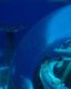Photo Sebestačné podmorské farmy sa podobajú na stavby mimozemšťanov