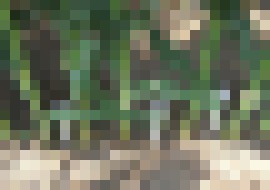 Photo Špičkové poľnohospodárske technológie by mohli znížiť spotrebu vody až o 70 percent