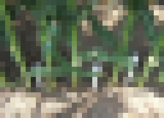 Photo Špičkové poľnohospodárske technológie by mohli znížiť spotrebu vody až o 70 percent